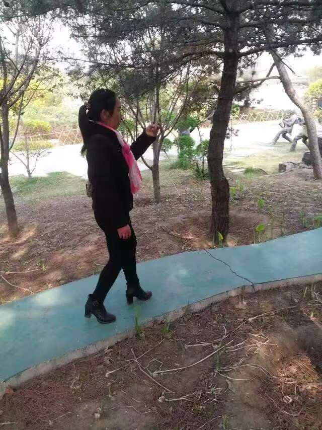 春日生活打卡季春天真是太美好了，大树长出新绿，各种各样的野花开满大地，杏花，桃花