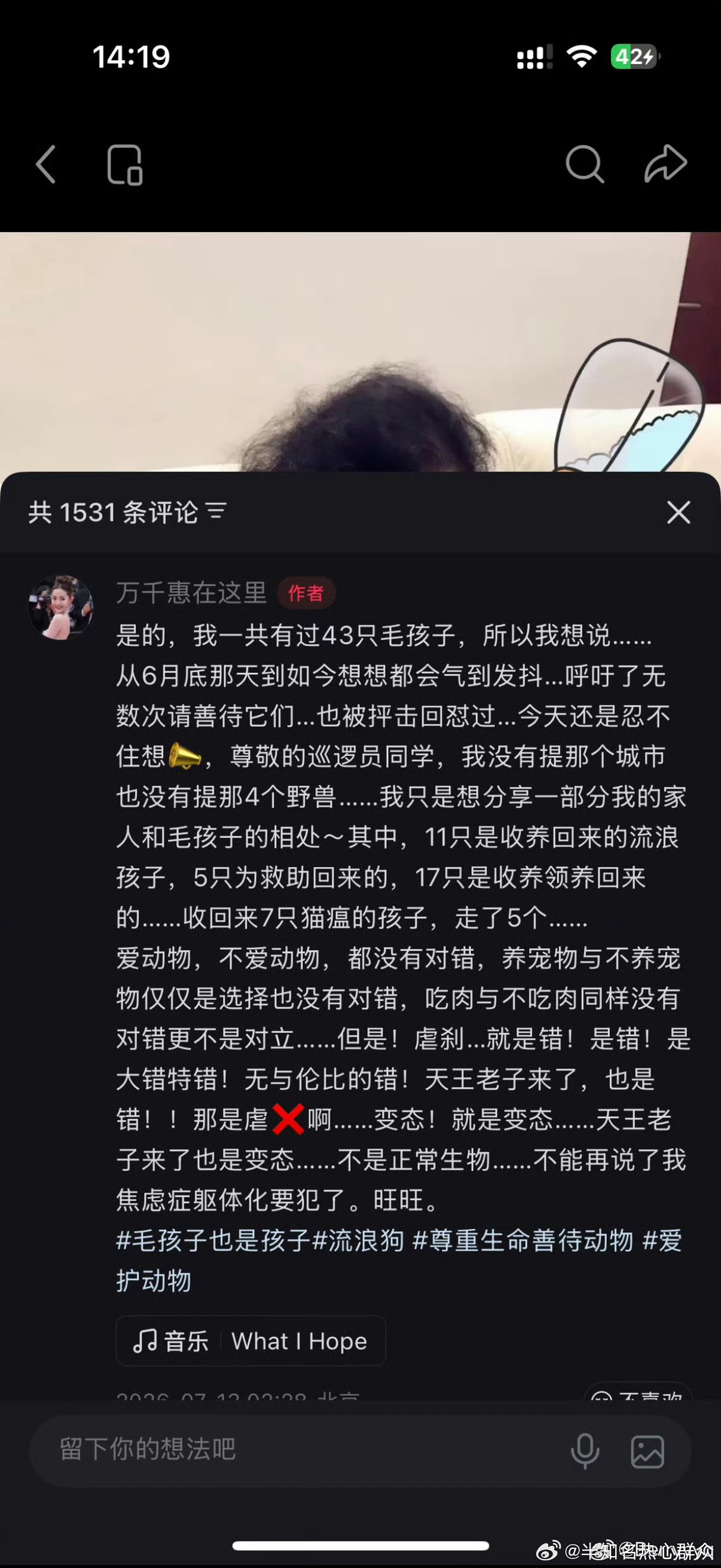 都有点没勇气看完这个新闻…到底是谁在把nue杀当小孩不懂事调皮趁他年纪还小 不要