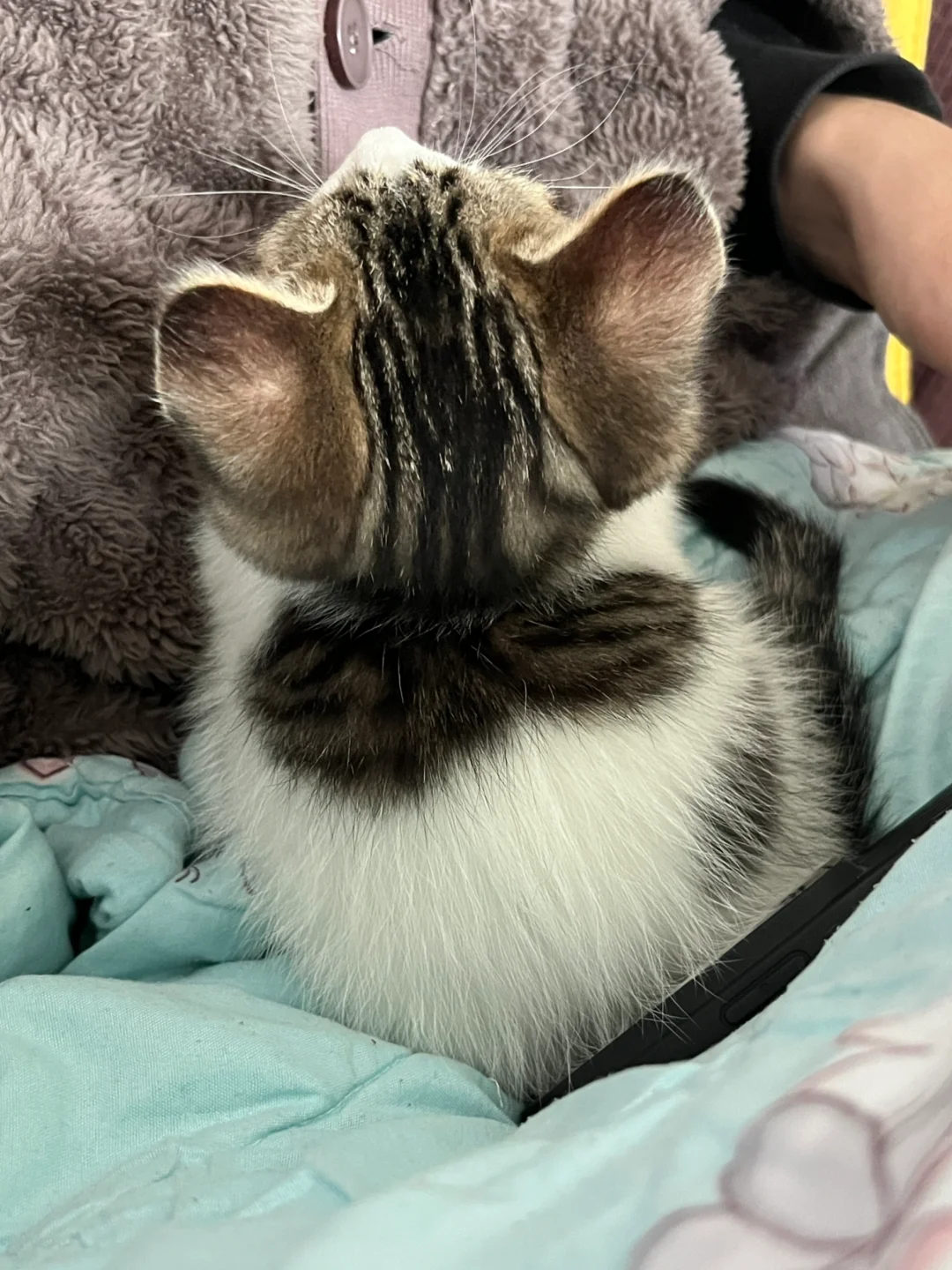 ➡️右滑帮他缩小