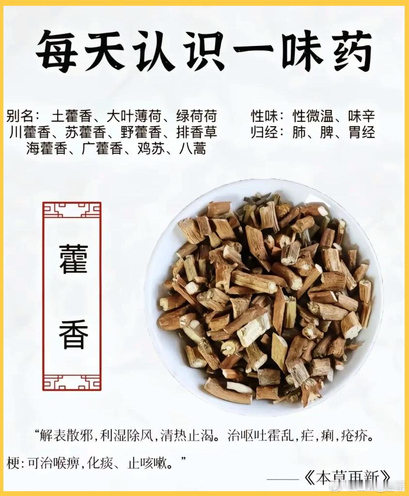 白术健不了的脾，换成这味药，脾强、运化强，灭生痰之根本胃口不好、容易累、整天打不