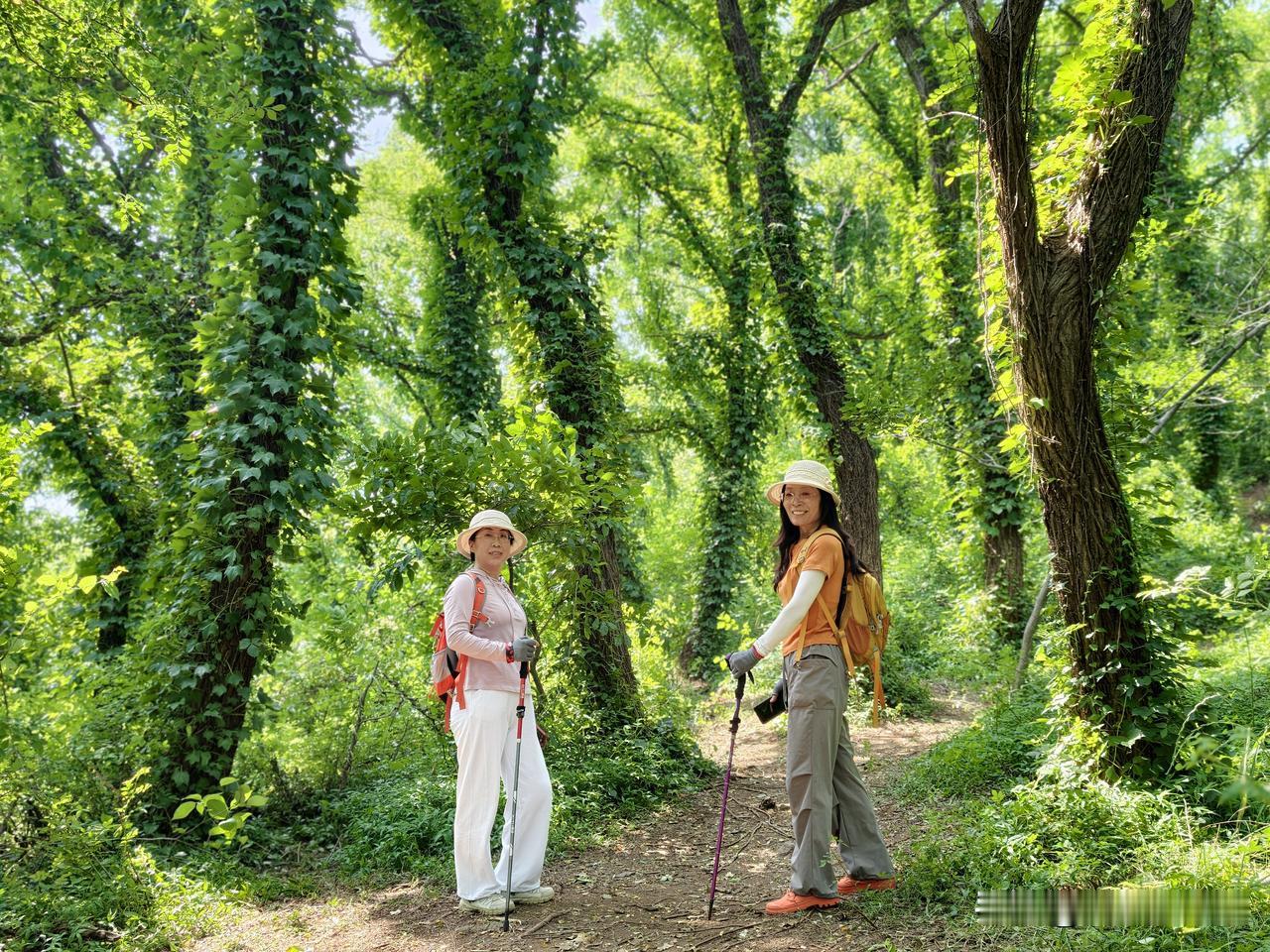 周日，自驾日照一日游，寻了两个小众景点，秘境探幽，赶海拾贝，好玩不累，全程免费，