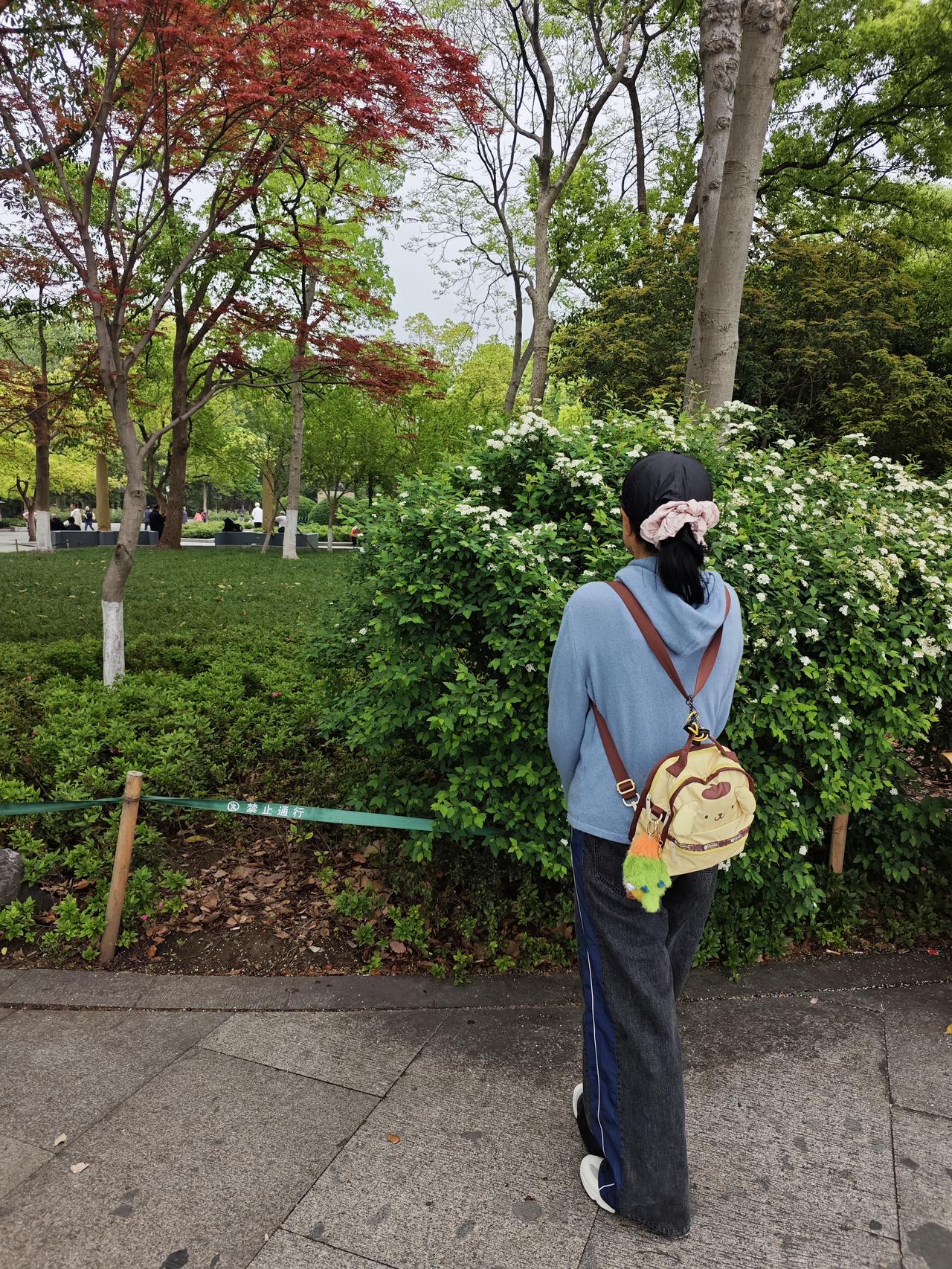 如果说全国风景优美的城市在哪里？那当然是杭州，上有天堂，下有苏杭，不是随便说说的