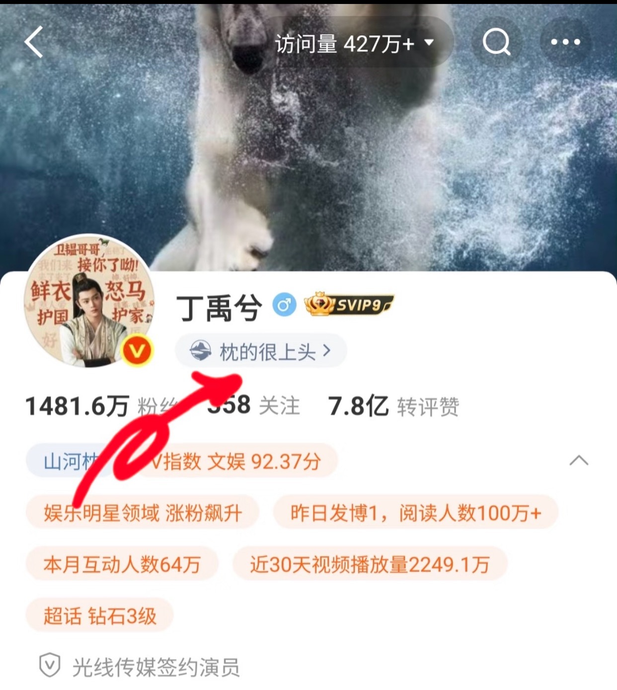 丁禹兮 枕的很上头 丁禹兮微博状态改了，“枕的很上头”是没错了！！！[送花花][