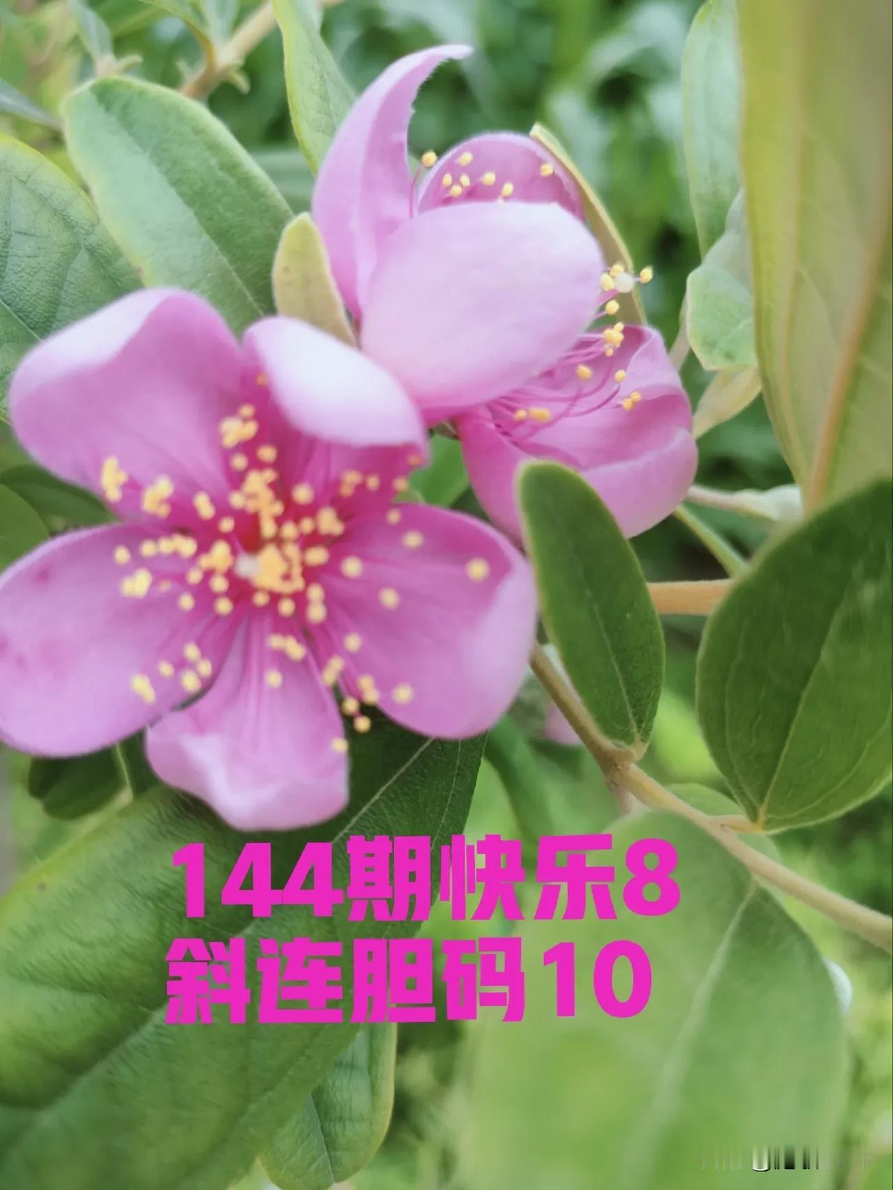 10球是斜连号，看的懂吗？
快乐8斜连号经常开奖。有三斜连，比如16-15-14