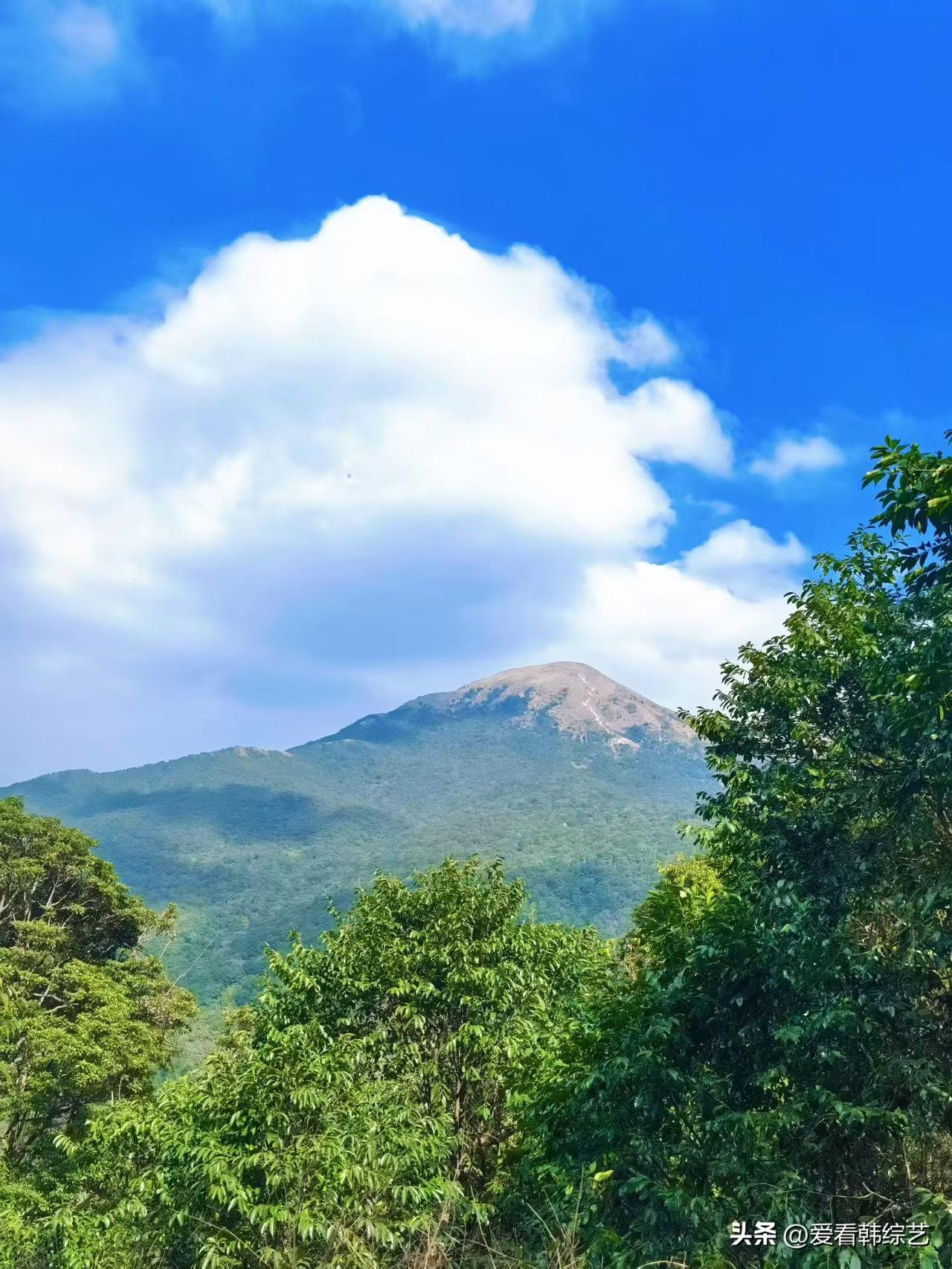 今年冬天的不同晴空里大朵云絮软得像棉，青山裹着浓绿铺展，峰顶那抹浅褐浸在蓝天下，