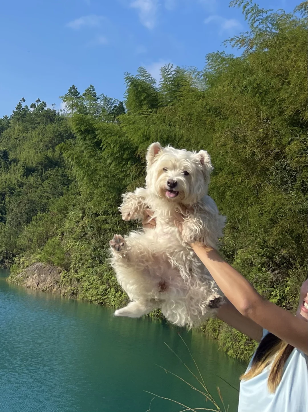 无滤镜live！厦门小九寨沟 带狗狗来玩玻璃水