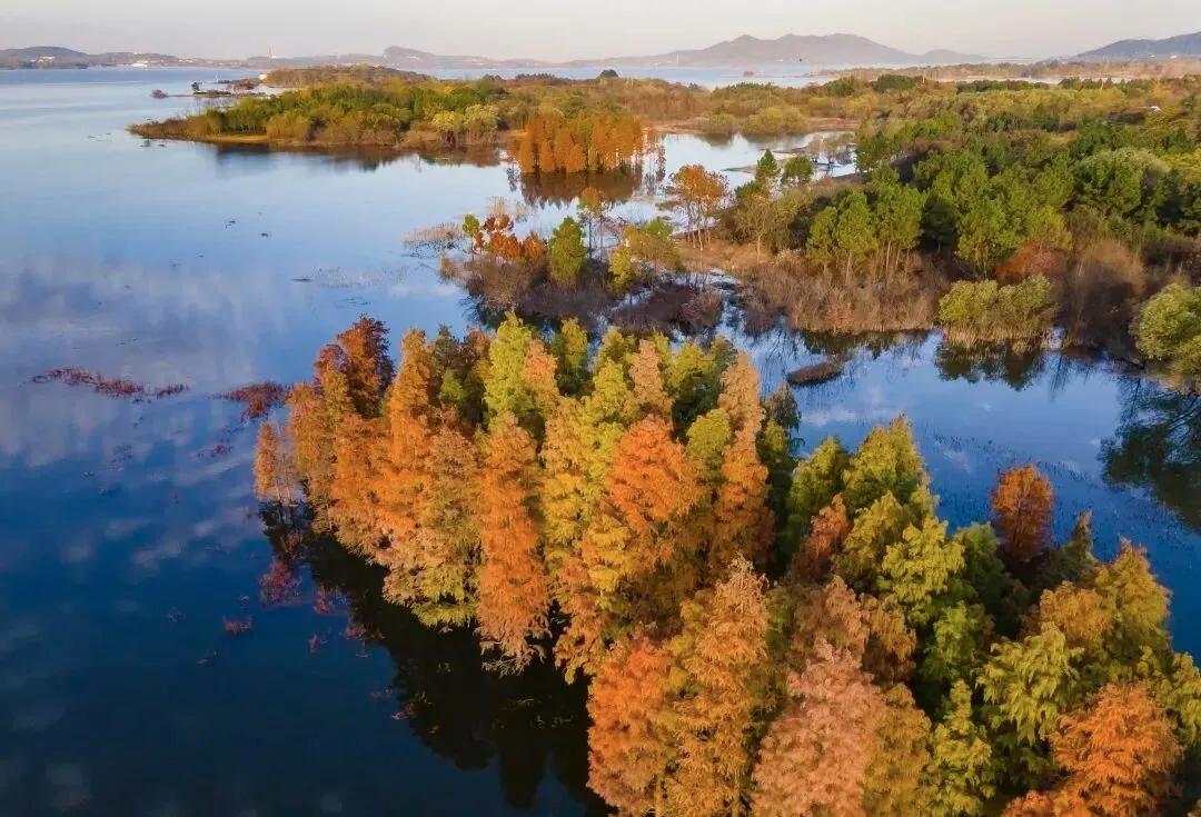 【简单到复杂，是前半生的阅历；复杂到简单，是后半生的修行】
        “简