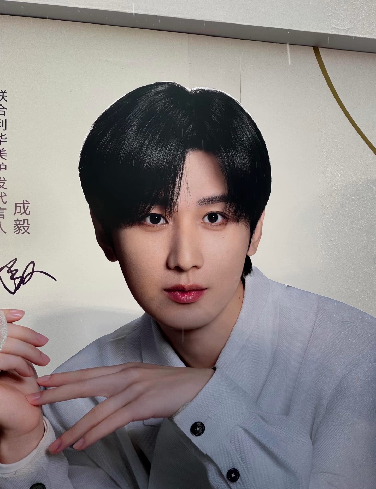 成毅上海多芬快闪店打卡，果果们风雨无阻