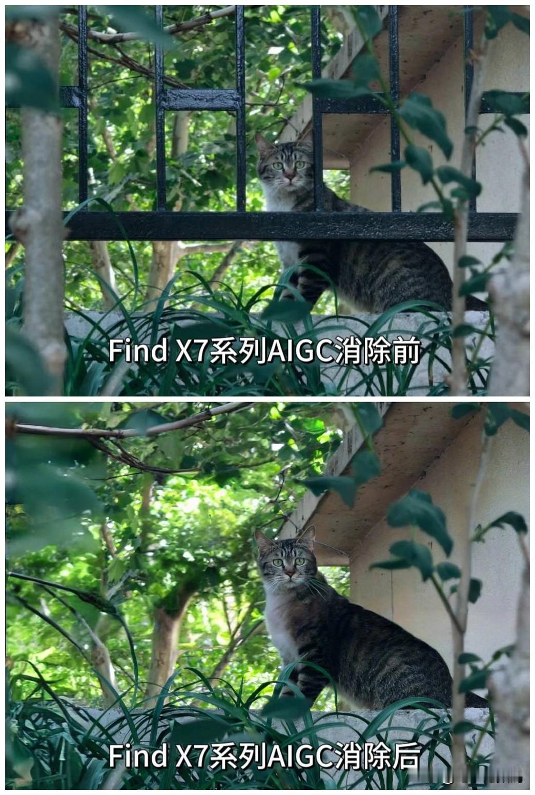 OPPO Find X7的AIGC消除有点强哦~
原本还以为和之前其他品牌的抠图