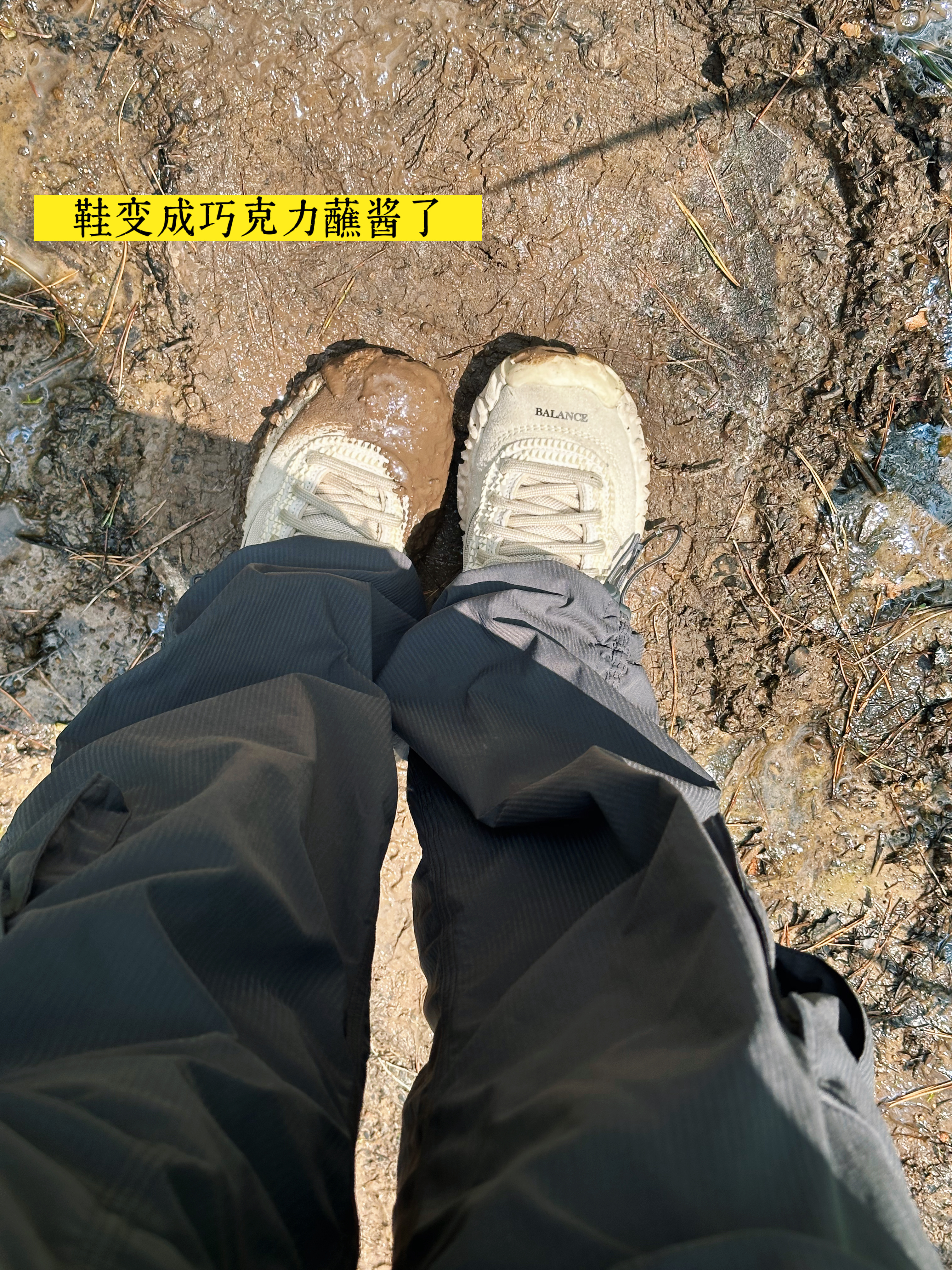 今日爬山plog，孩子居然不是用走的爬的而是跑，还是折返跑，怎么就这么不知疲倦呢