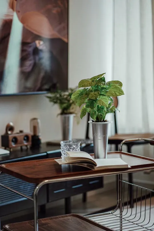 一个糙汉子，60平方被绿植治愈的精致小屋