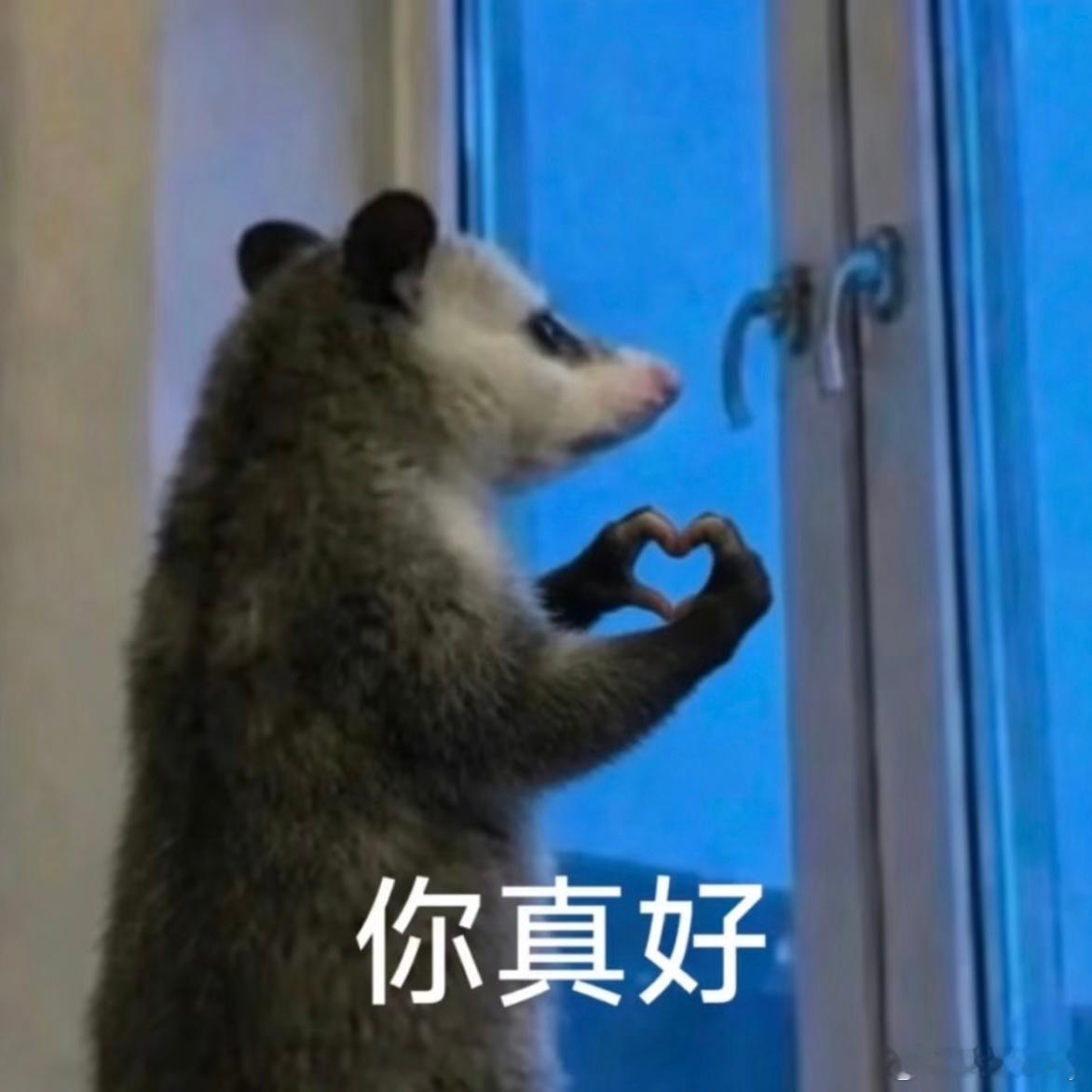 找对象就得找小源这样的，今天朋友们都回去了，下班想着没来得及送她们还有点失落，到