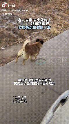泪目了！江苏宿迁，女子和家人送外婆去火化的路上。突然，外婆养的小狗追着灵车跑，她
