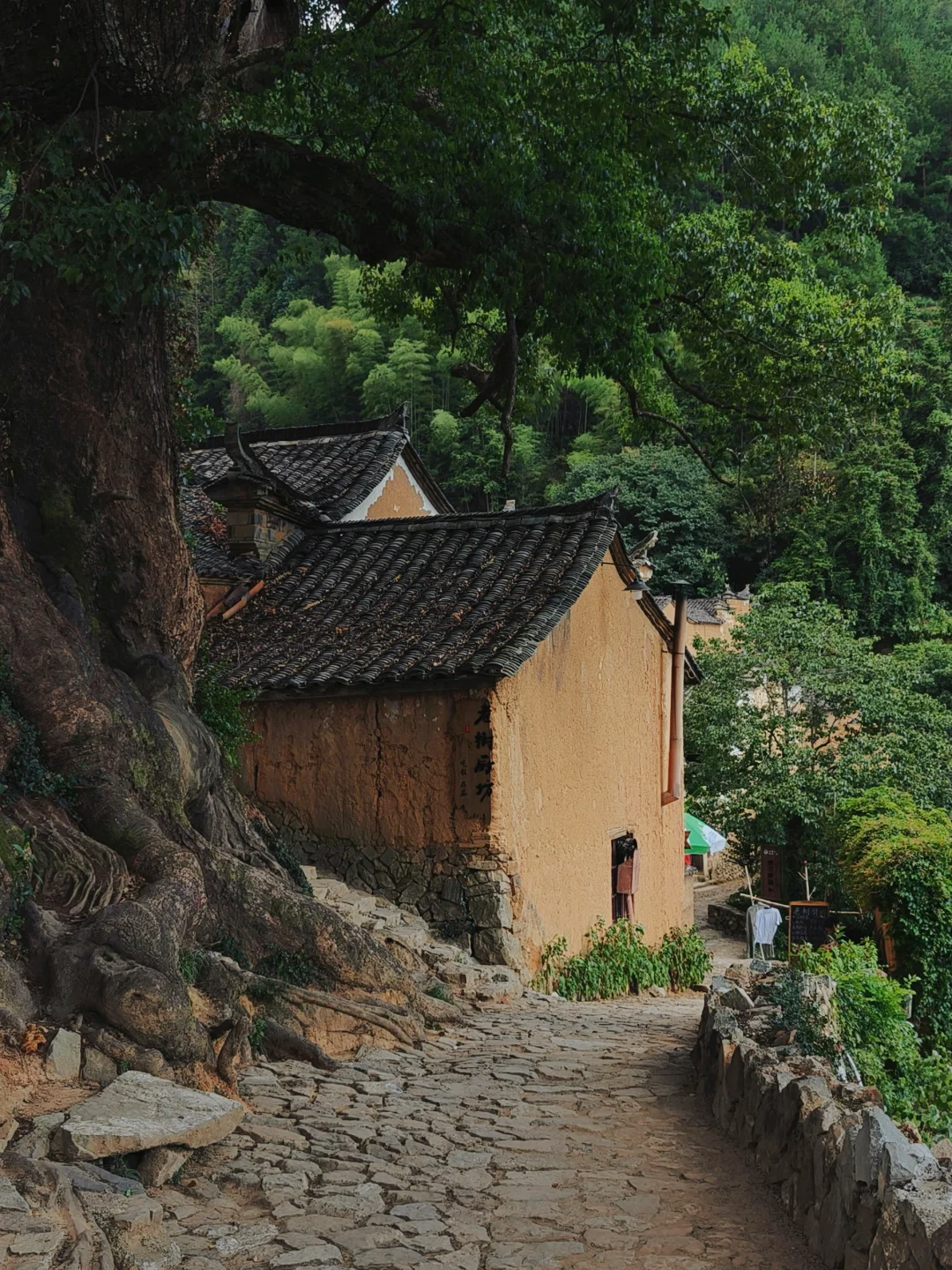 被《国家地理》评为“江南最后的秘境”太美了！
