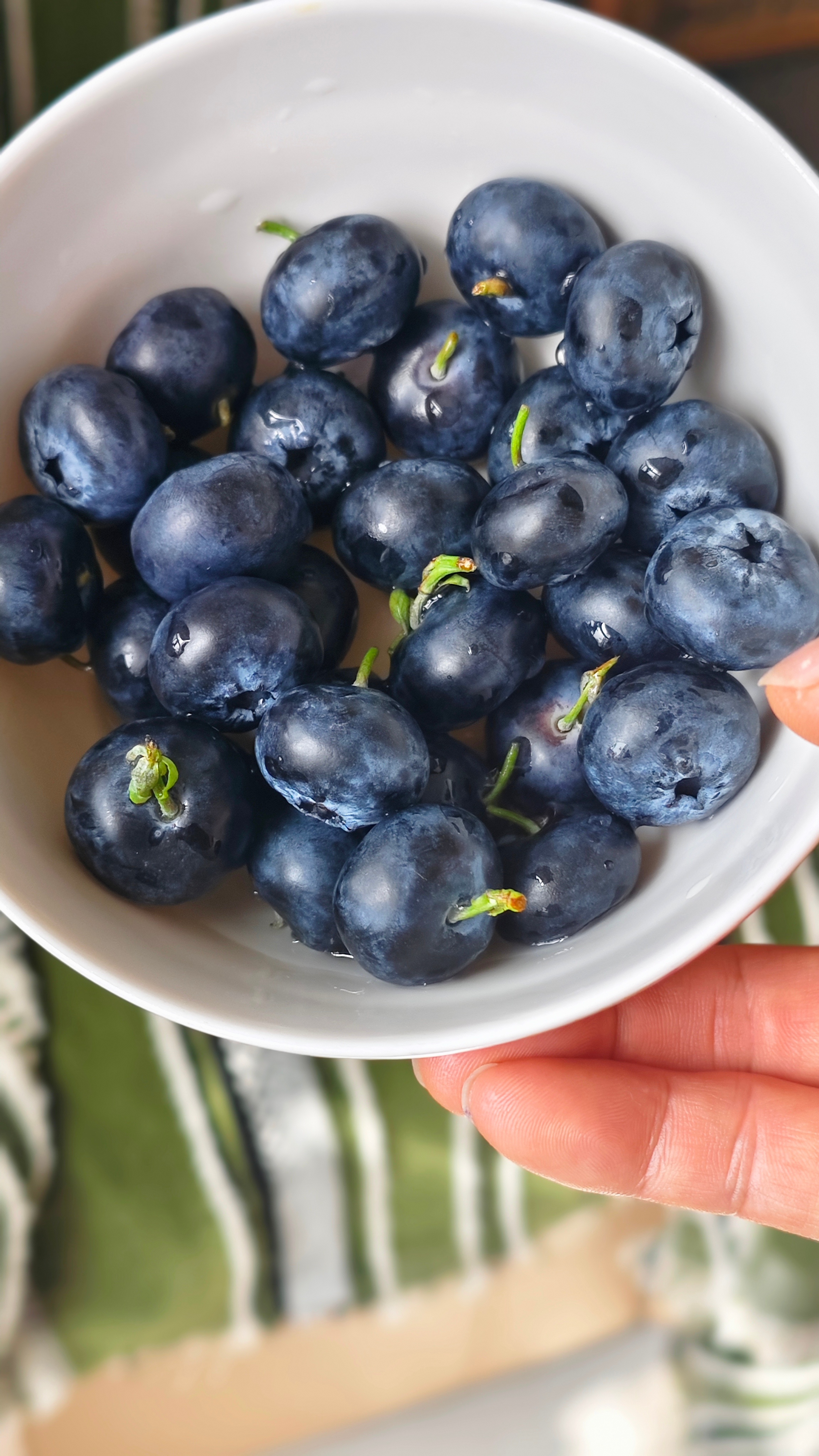 新闻没骗人，云南澄江的🫐真是拿桶装的🪣放在过去这个价格只能买到14mm规格，