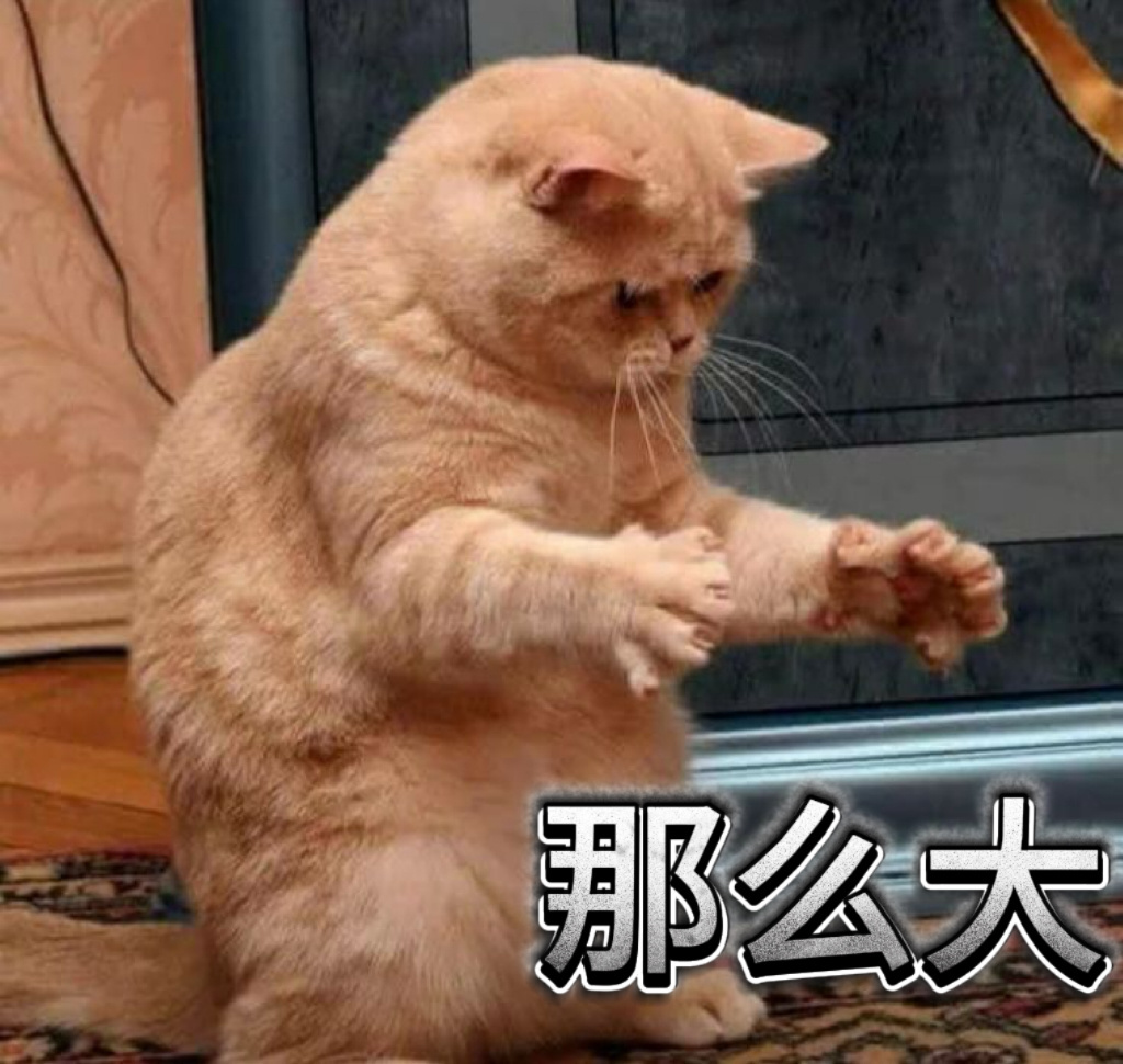 分享图片 ​​​