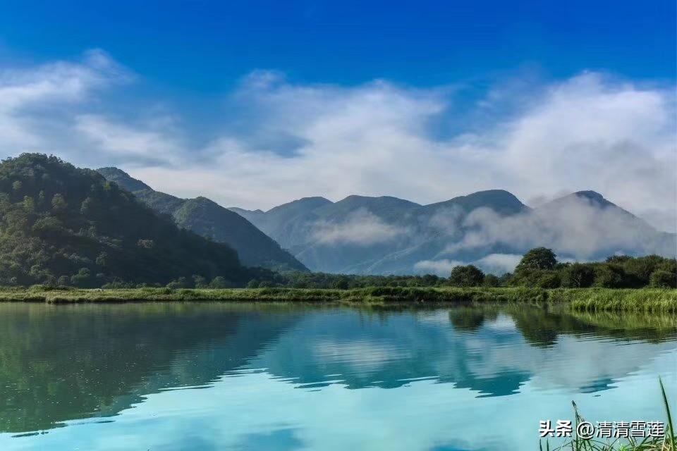 很多人去神龙架是想上山，我最想去的是大九湖，可能是看了些大九湖的片子，觉得那里的