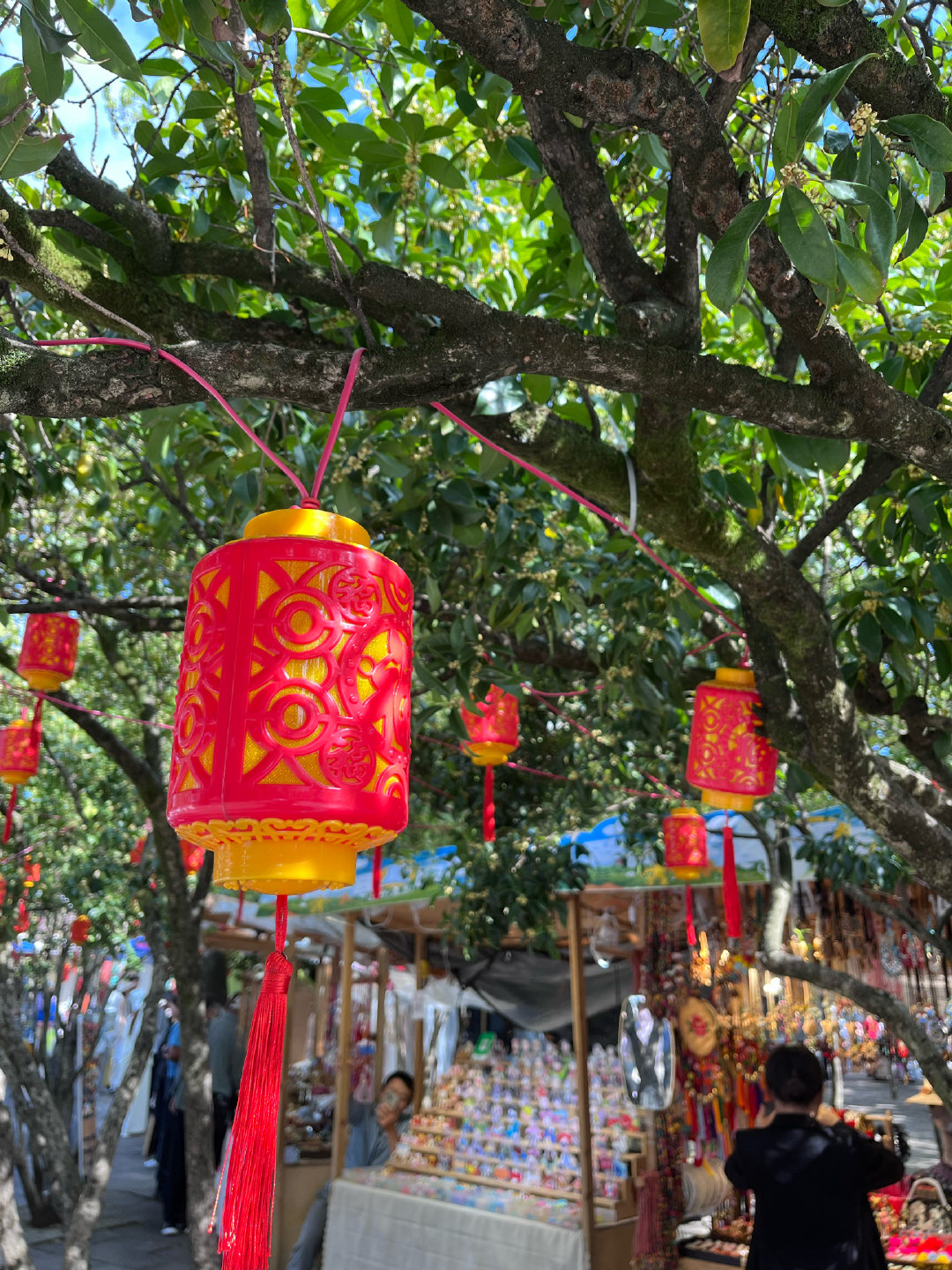 淀粉肠是中国各大风景区的头号敌人！翠湖公园的桂花开了，馥郁的花香中混杂着淀粉肠的
