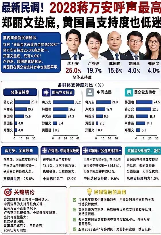 2028蓝白合人选的最新民调，郑丽文无奈垫底：蒋万安以25%的支持率领跑，卢秀燕