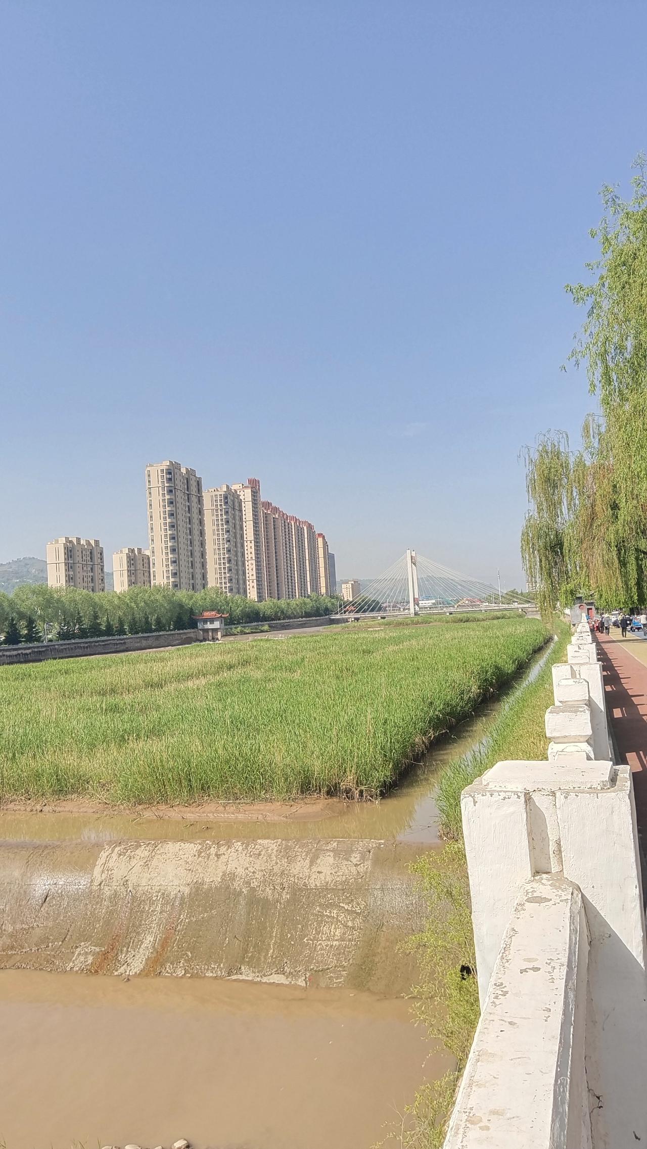 晒图笔记大赛 城市与自然的和谐共存，感受现代与传统的交融。