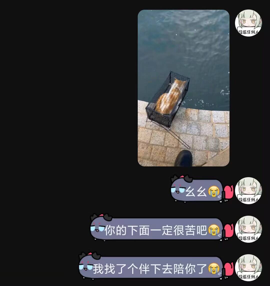 还得是爱猫人士啊 ​​​