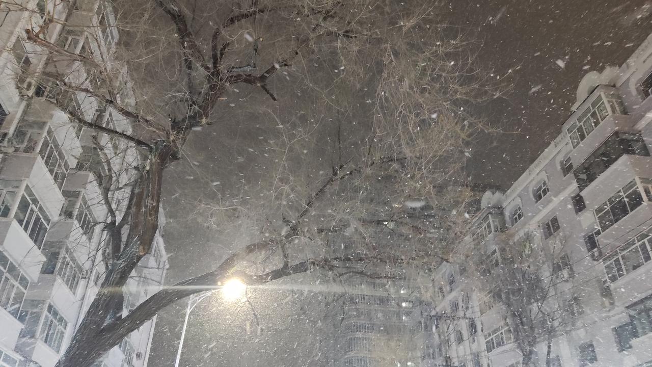 记录我的2026风雪夜归人