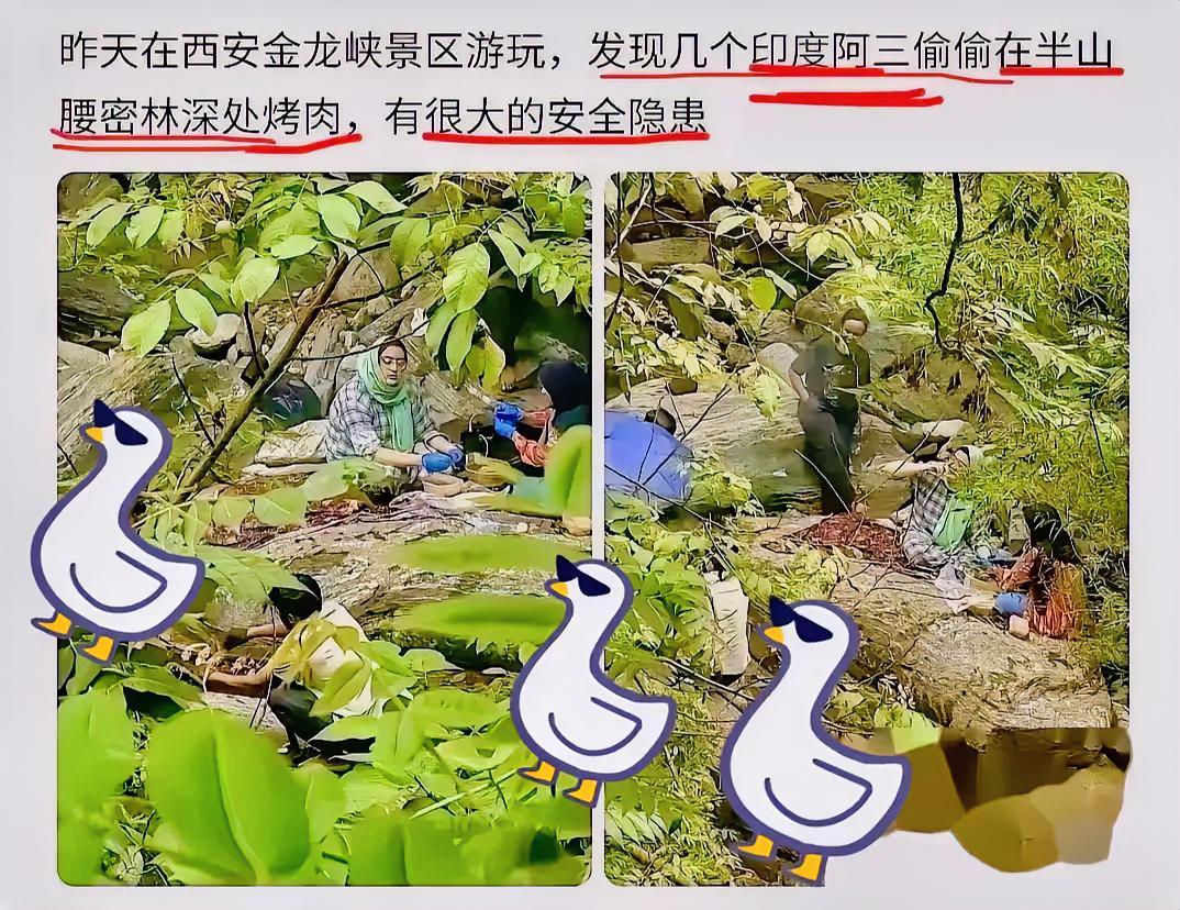 胆大包天！
几名印度籍游客躲进西安金龙峡半山腰的密林深处，偷偷生起明火烤肉，专挑