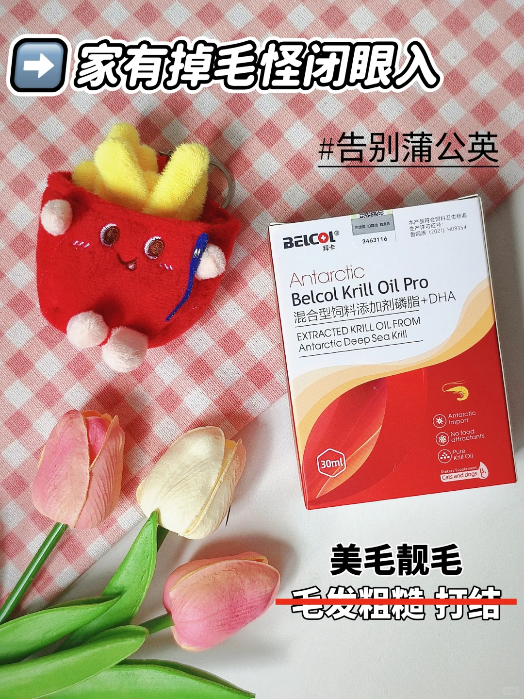 有了它 我看谁还养蒲公英😤