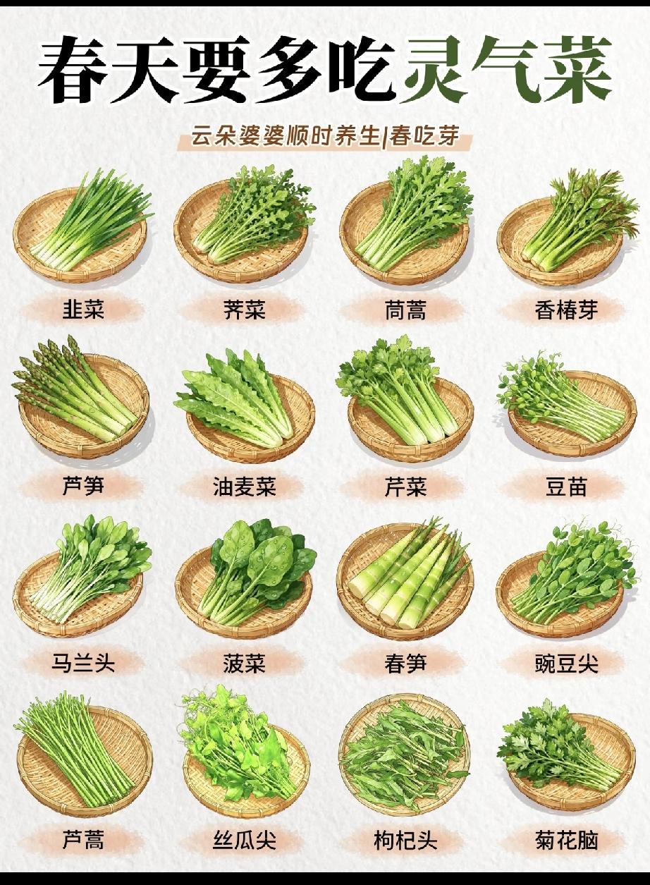 一年只等这一季，春天， 16种灵气菜  ，春笋排行第一[捂脸][捂脸]


，顺