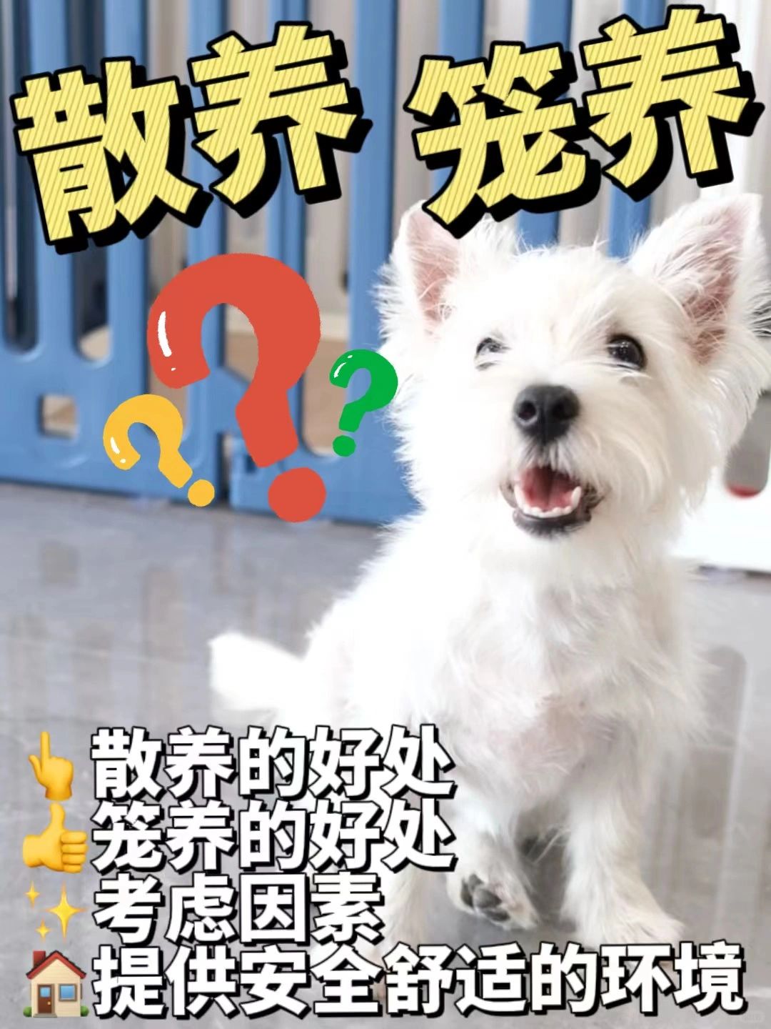 🐾散养狗狗还是笼养狗狗？选择适合你的宠物方式！🐶
亲爱的小伙伴们，关于狗狗的...