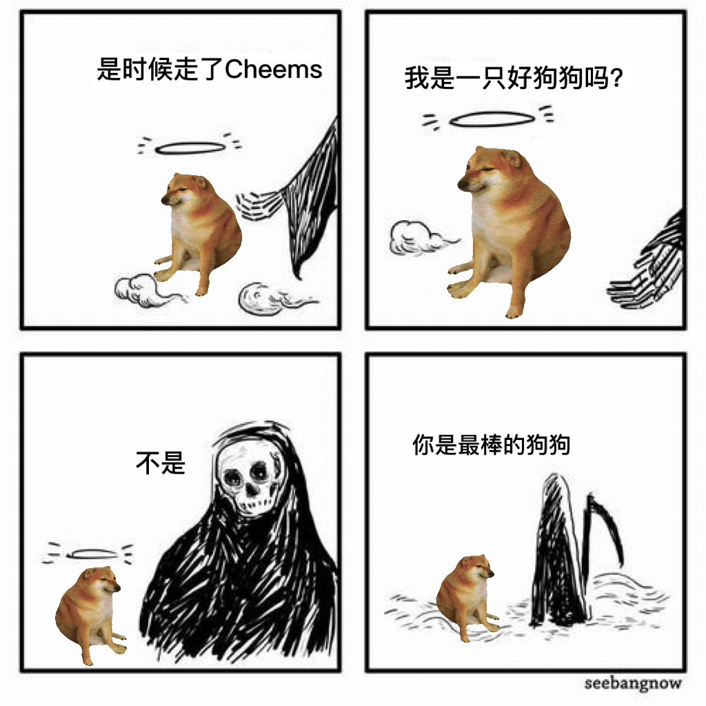 再见了最棒的狗狗#Cheems去世# ​​​