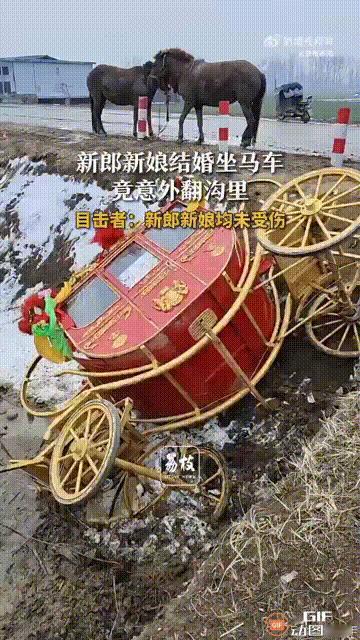 “这解释太美好了！”河南周口一对新人结婚，为了举办一场不一样的婚礼，他们选择用马