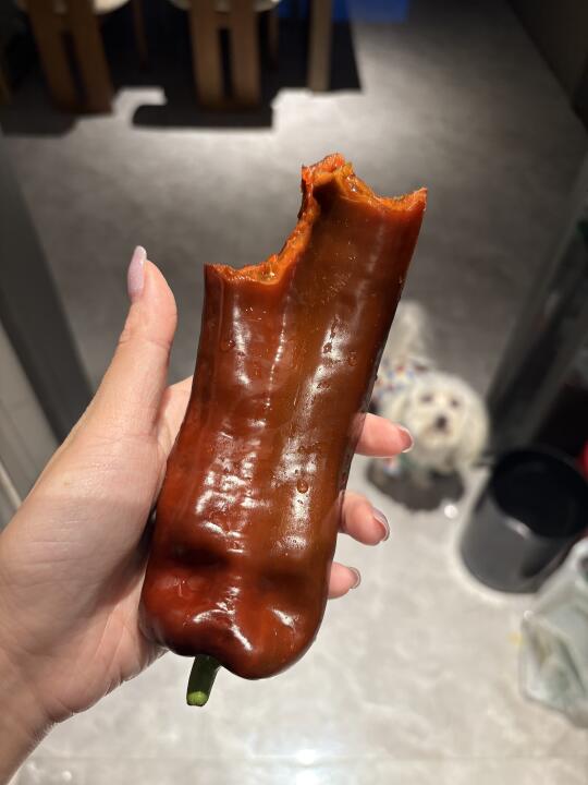 🤷‍♀️留学顾问电销是一个入侵性极强的动作