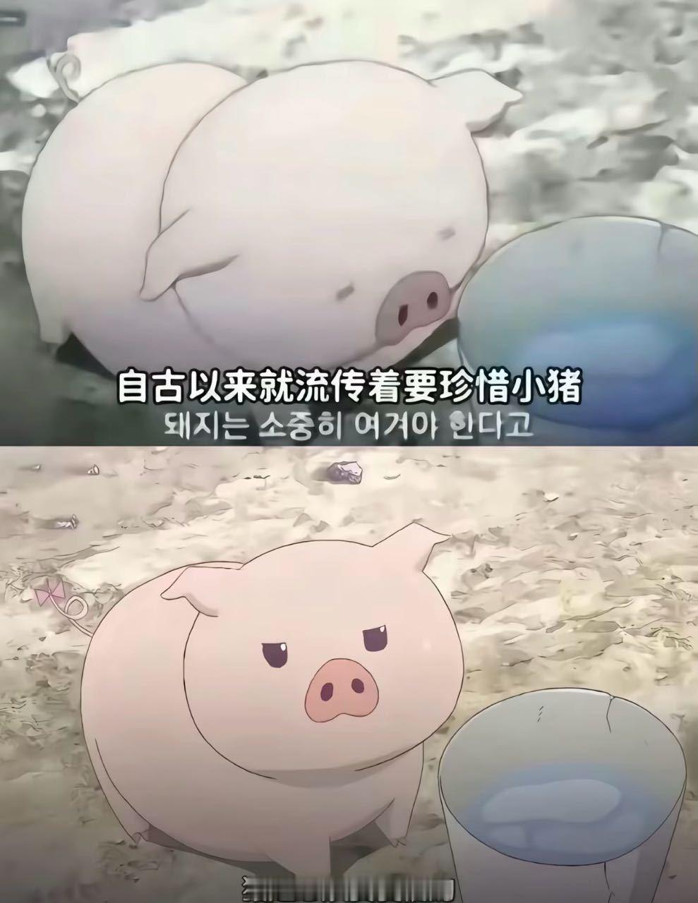我只想平静地爱丞 