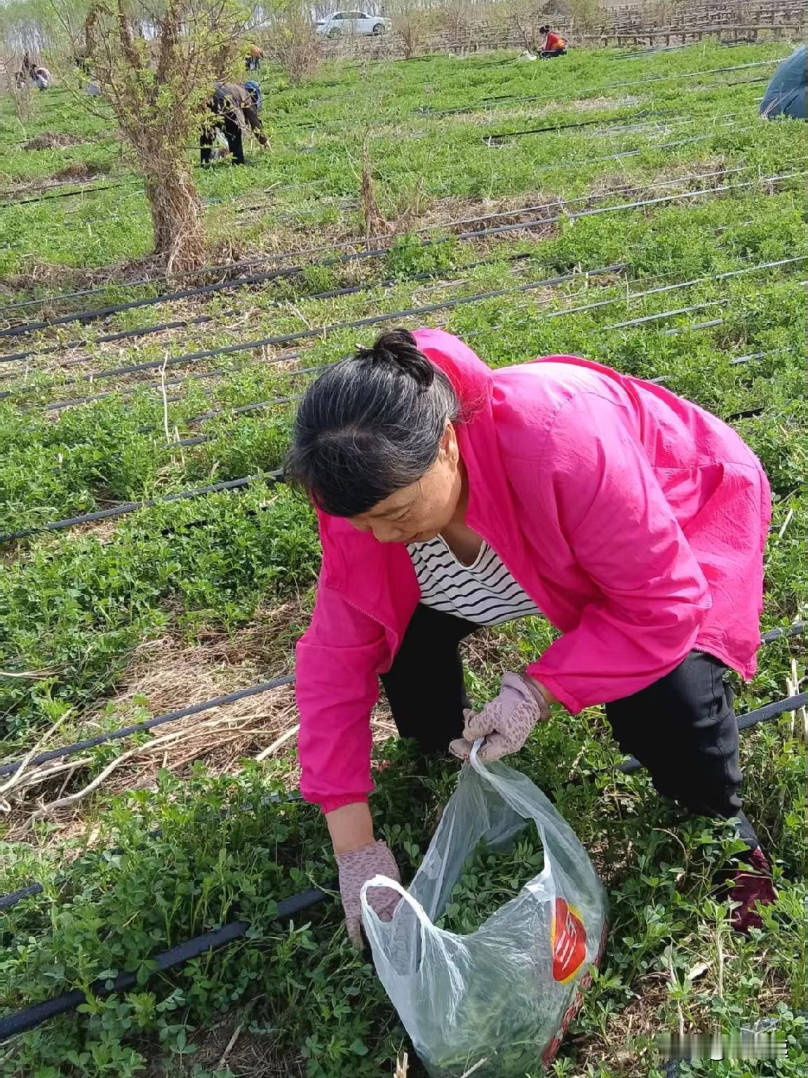 千万不要和人走的太近！
常言说：狗不能喂它太饱，人不能对他太好！

我在老年大学