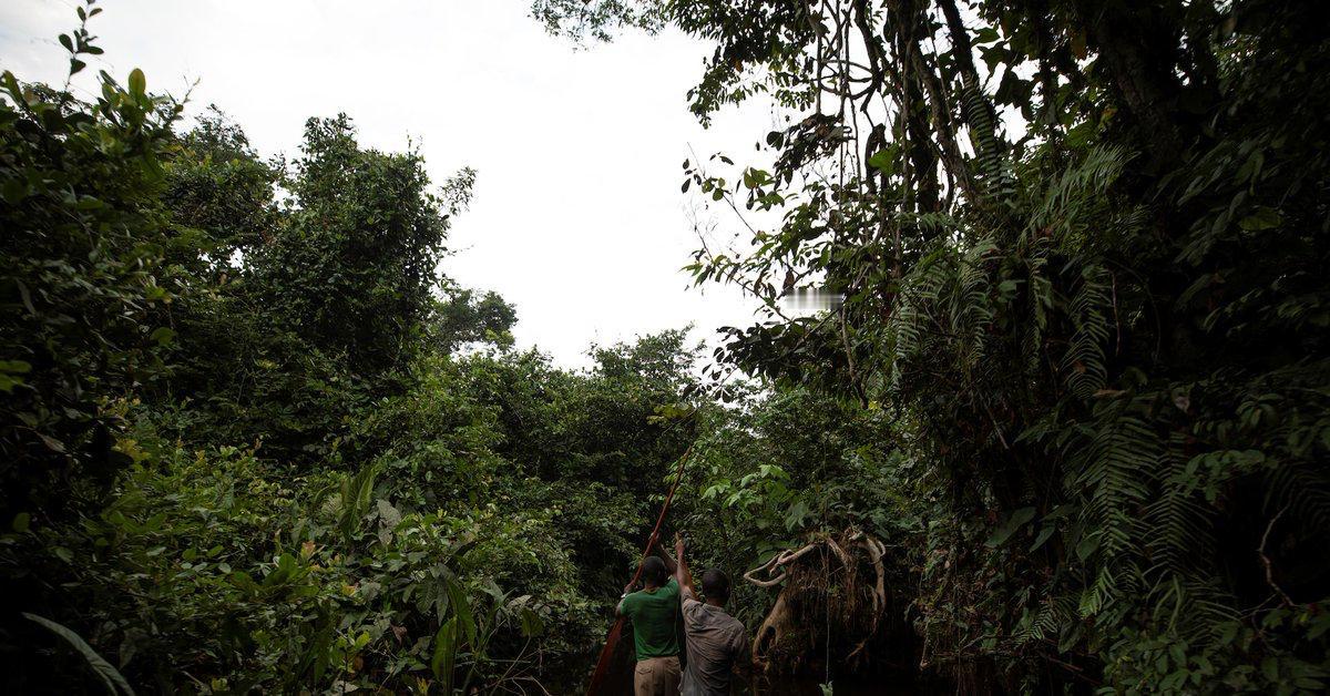 [To learn English]
European nations are 