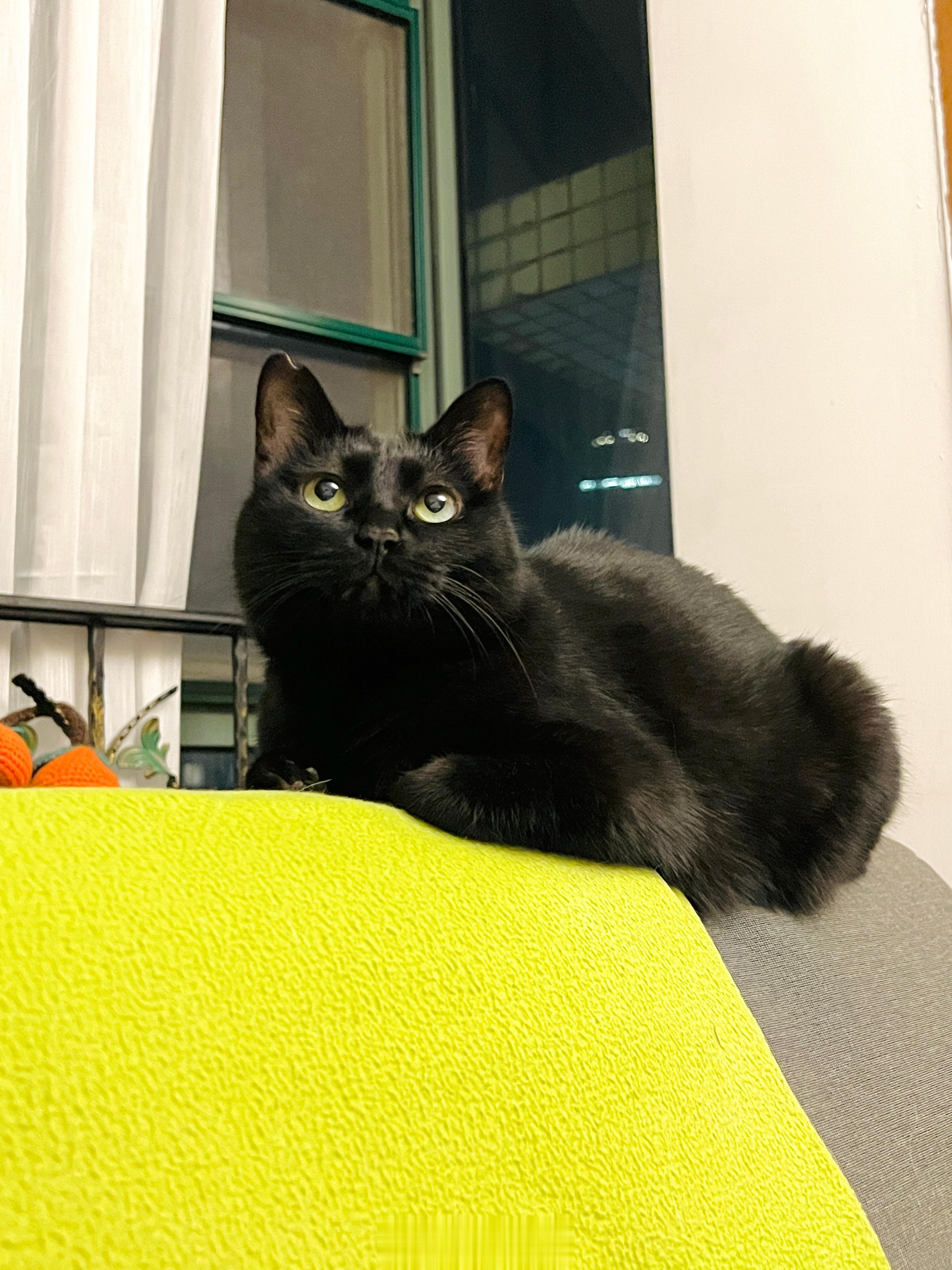 熱到嘴嘴消失～#蝦蝦不可以太可愛# ​​​