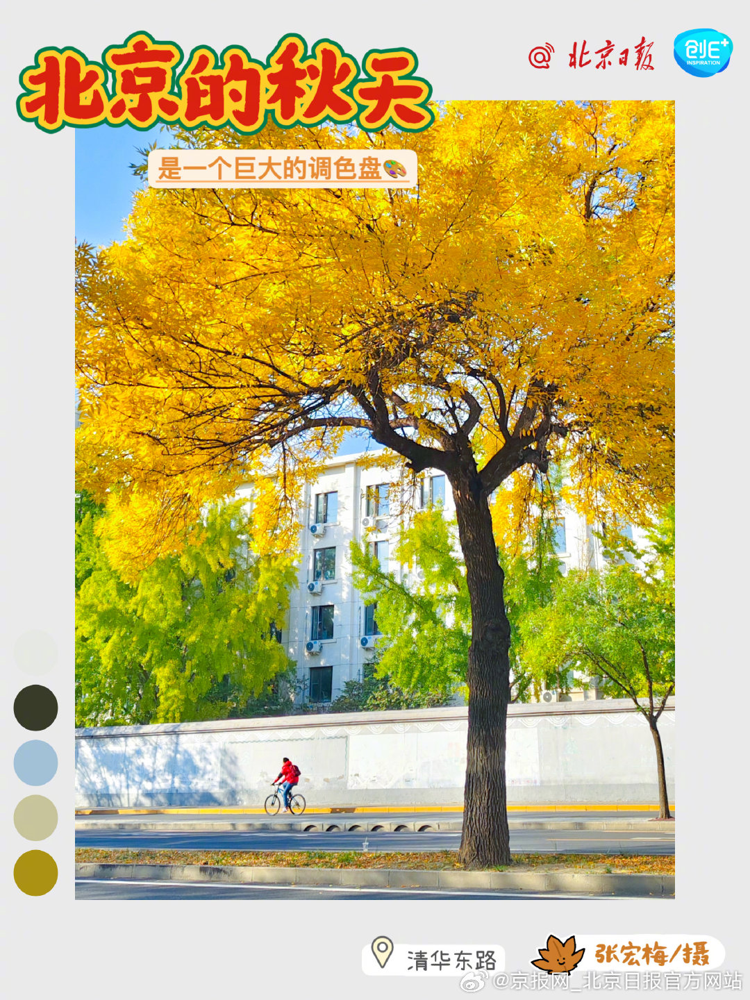 【#北京正是橙黄橘绿时# #在北京别等到下周末才去赏秋# 】有人说，经历过北京的