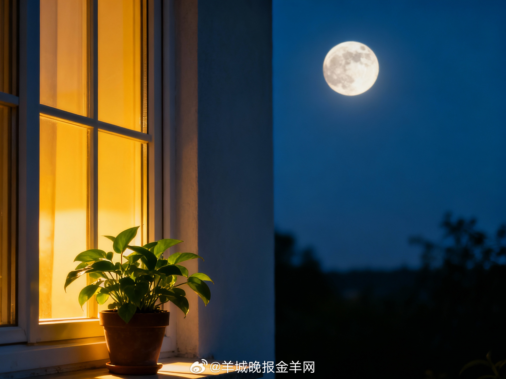 #晚安# 月亮正在整理今日散落人间的勇气与笑容。晚安，愿你枕着希望入眠，带着温柔