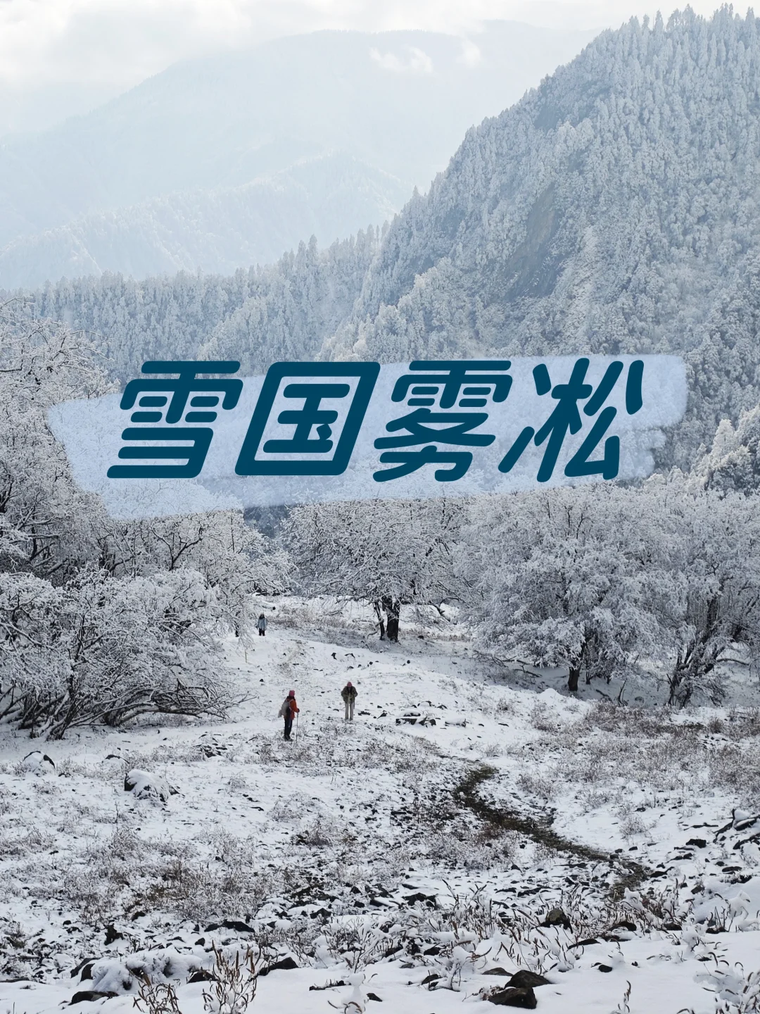 石召垭口＆卓西牧场｜雪景雾凇