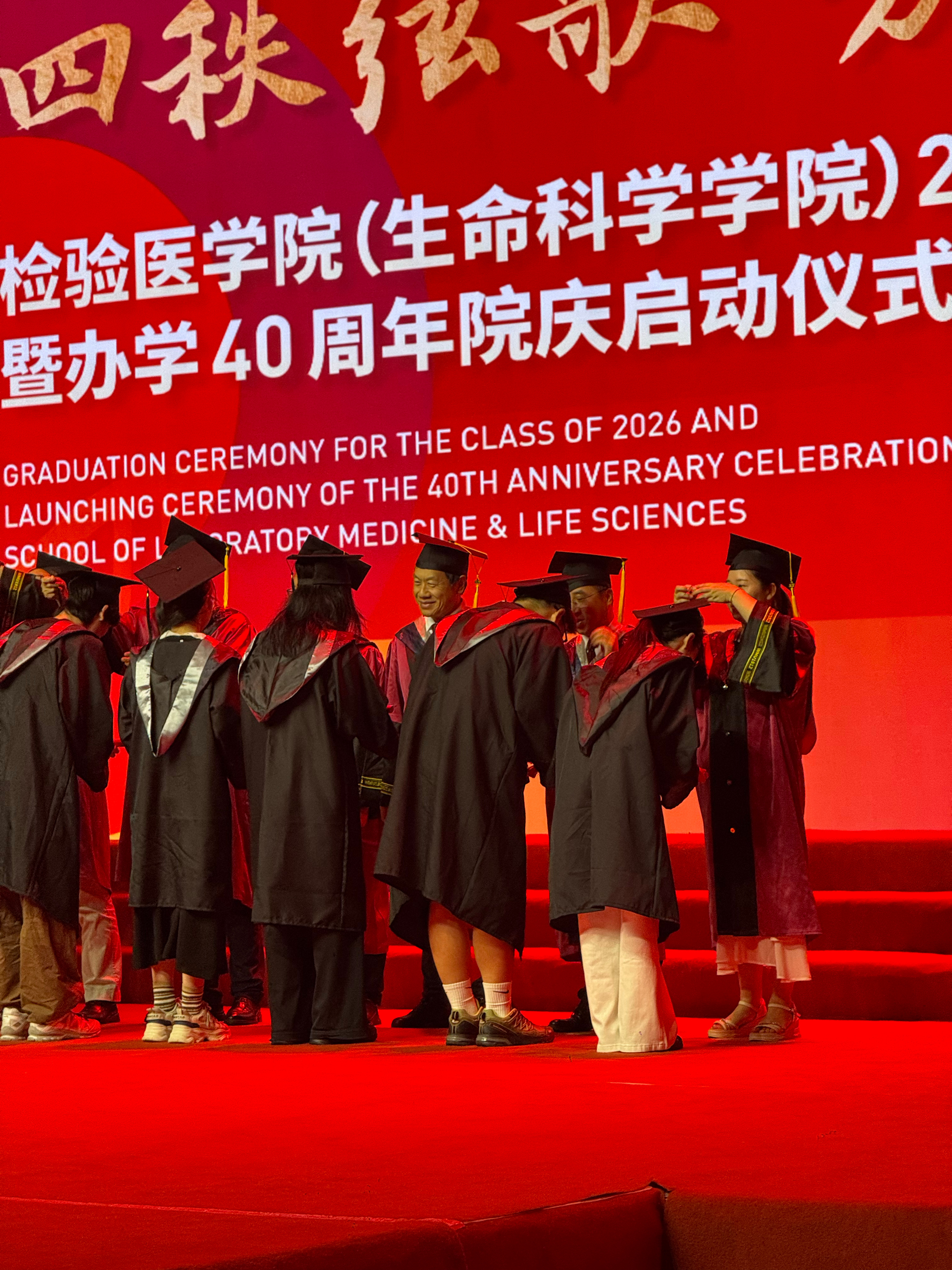 OK猪完全是猪怎么这么胖 温州·温州医科大学