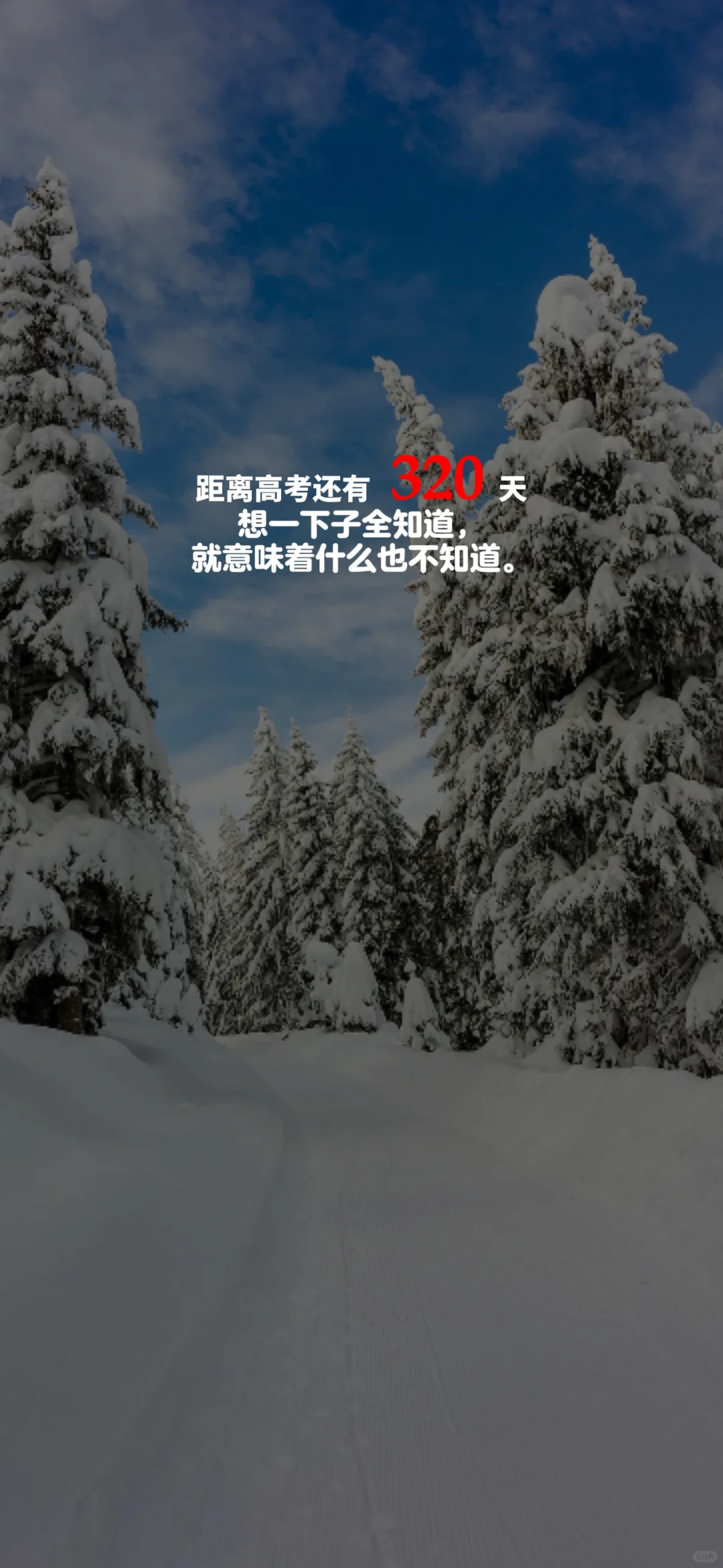 2025高考倒计时，每日更新。