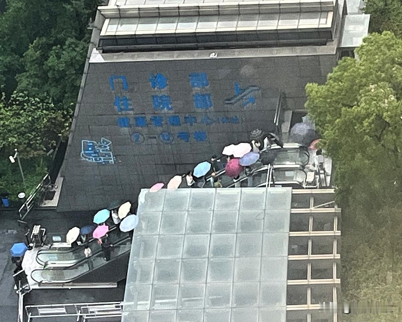 陪护第六天，端午安康！

今天五月初五，一年一端午，一岁一安康；悠悠艾香，粽情粽