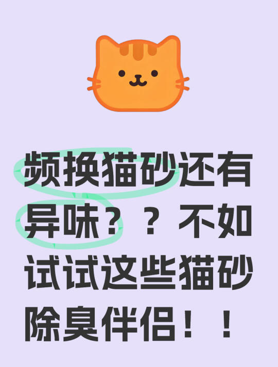 频繁换猫砂还有异味？？不如试试这些