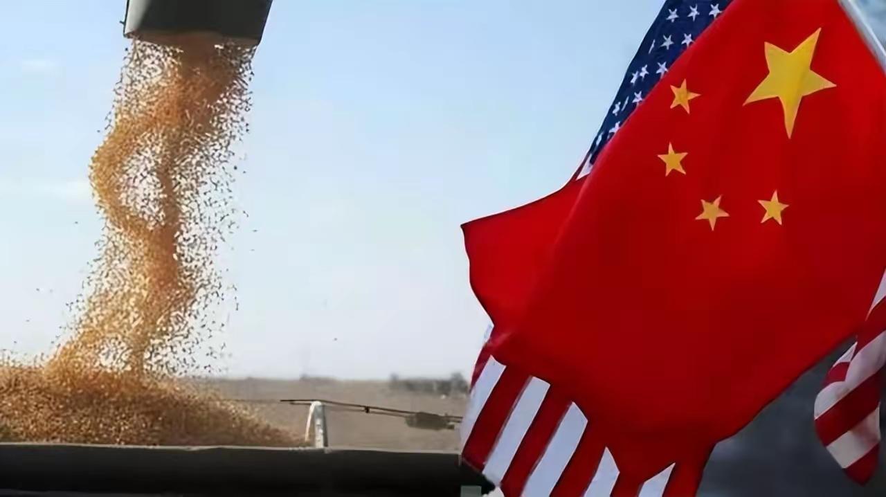 一、先理清现状：美巴疯狂抢中国大豆订单，主动权完全在我们手里
 
1. 份额格局
