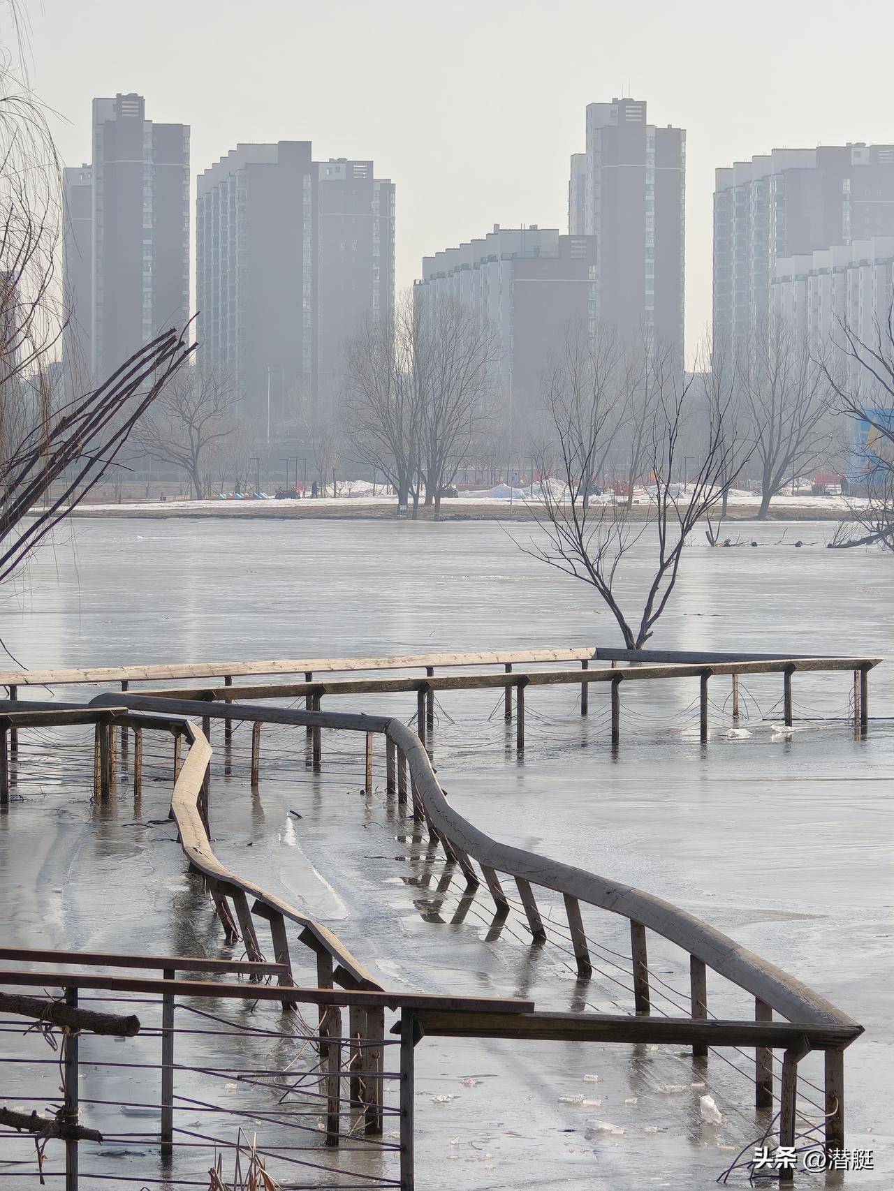 分享一下你随手拍下的照片昌平白浮泉公园随手拍