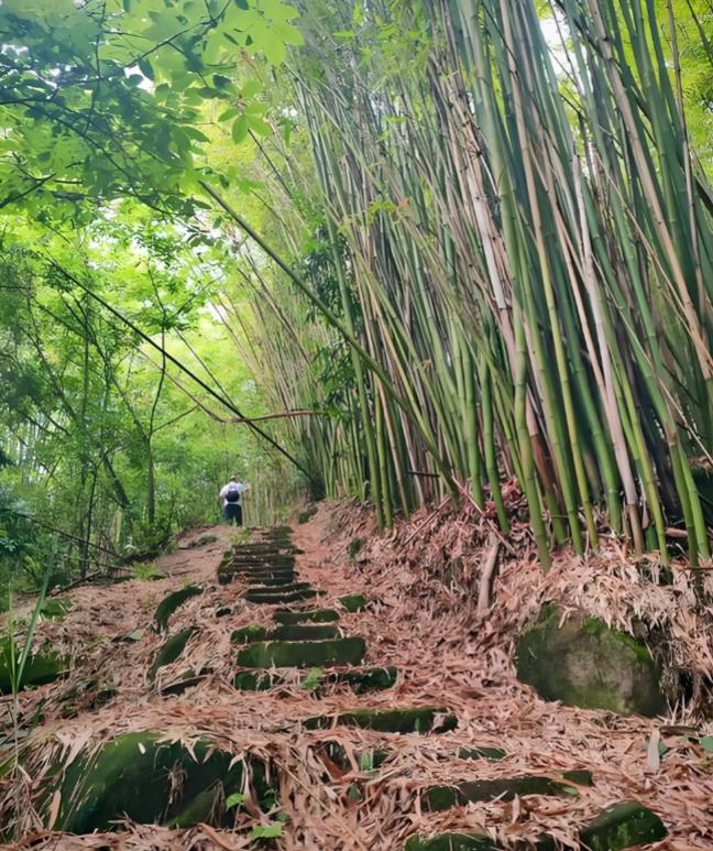汪国真在《仓促地到了中年》里写道：“仓促地到了中年、体态、面容、眼神、心境，都被