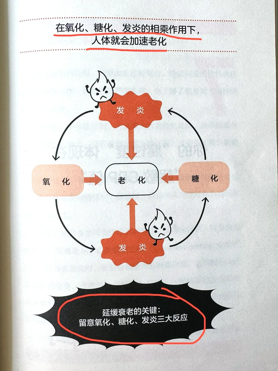 不想老太快？抗炎一定要跟上！