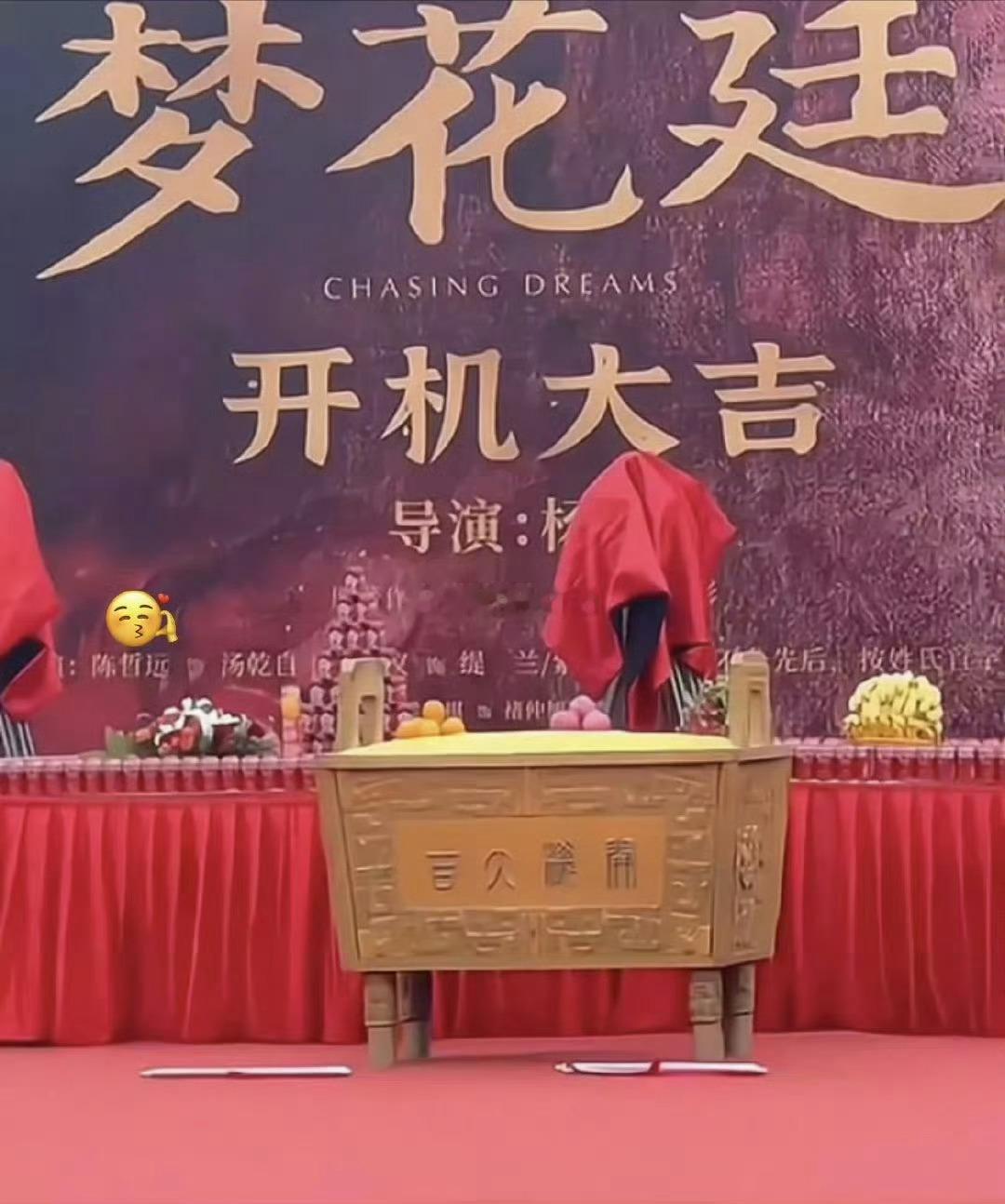 梦庭花开机的背景板出来了，番位尘埃落定陈哲远，张婧仪（排名不分先后按名字首字母排