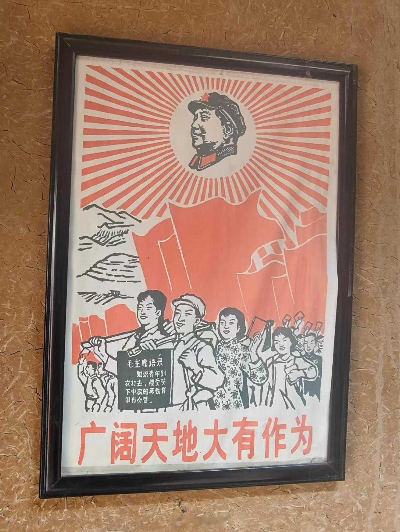 广阔天地 大有作为！ 